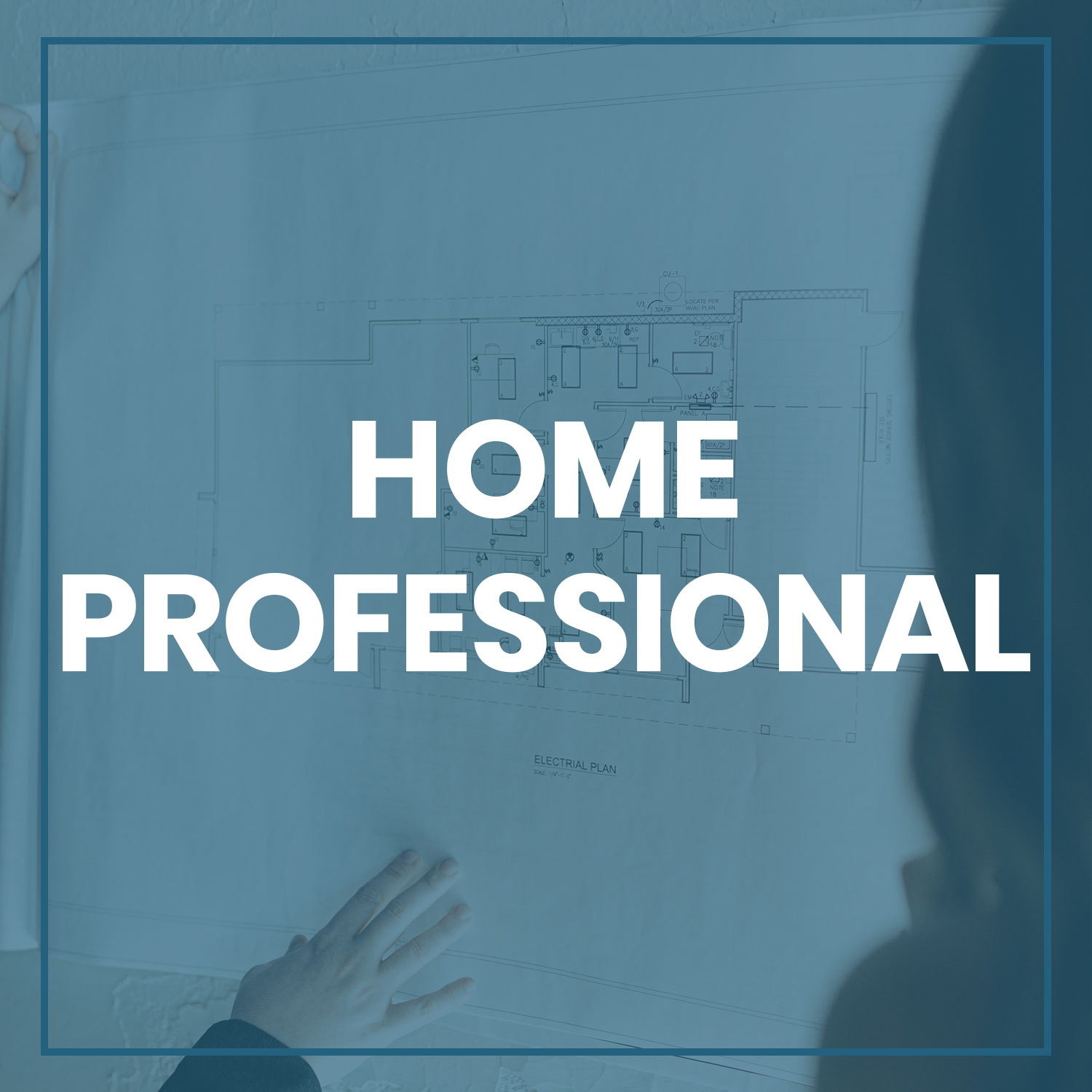 Home Professional Client Button