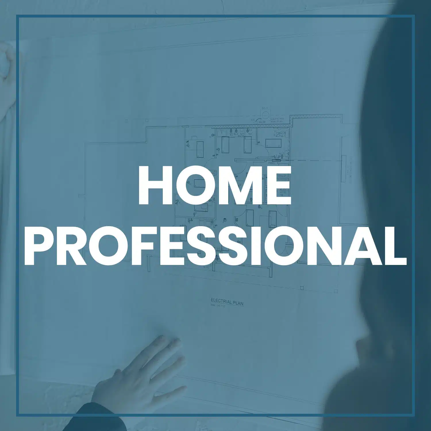 Home Professional Client Button